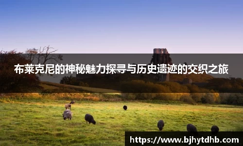 熊猫体育官网